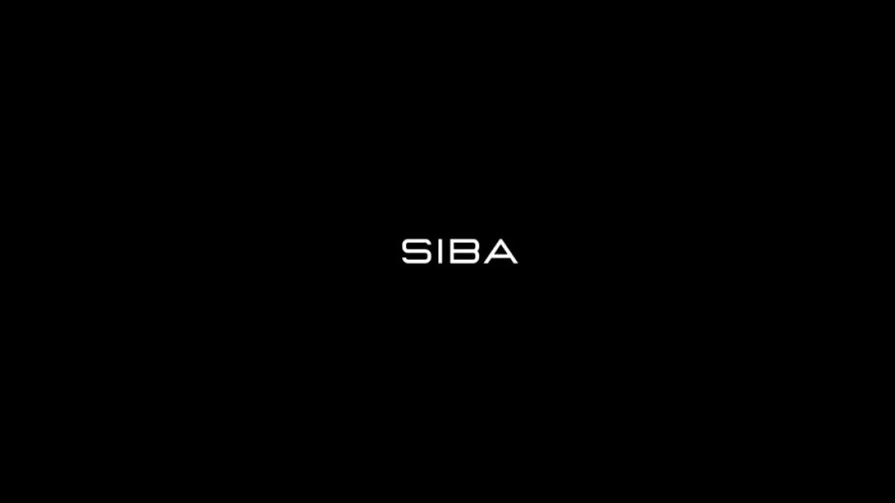 Salif Sibane – Siba Ecom Mastermind (9-Figure Ecom Creatives , Funnels Mastermind)